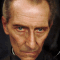 tarkin_4